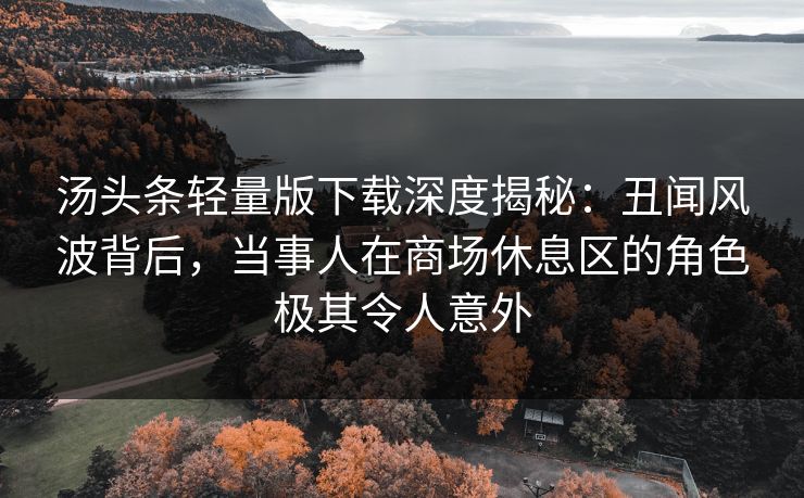 汤头条轻量版下载深度揭秘：丑闻风波背后，当事人在商场休息区的角色极其令人意外