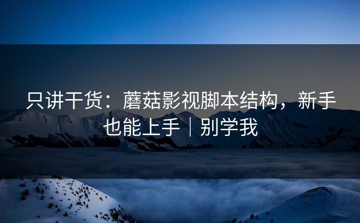 只讲干货:蘑菇影视脚本结构,新手也能上手|别学我 只讲干货:蘑菇影视脚本结构,新手也能上手|别学我